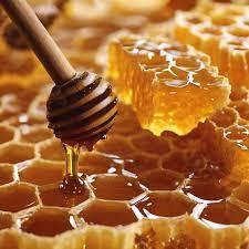 Panal de Miel Cruda Vietnamita Premium / Suministro a Granel para Uso Alimentario Mejor Precio 2025. - Product Image 6