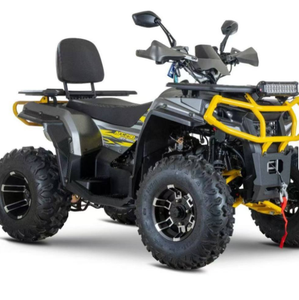 Cuatrimoto de 200cc, Automática, 36v, ATV, Cuatrimoto a Gasolina, Vehículo Todoterreno de Cuatro Ruedas para Adultos, con Transmisión por Cadena, en Venta - Product Image 2