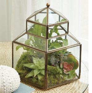 Macetero de cristal antiguo de latón para plantas, terrario de mesa, soporte para plantas de aire, caja expositora, maceta para suculentas, musgo y flores - Product Image 1