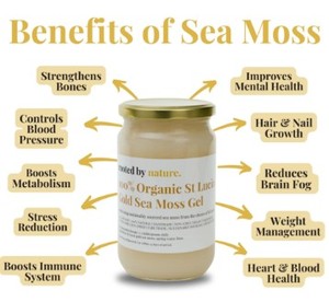 Gel de Musgo Marino Más Vendido Hecho en Vietnam Fácil de Usar Toma 2 Cucharas Diariamente Bueno para Cabello y Piel Etiqueta OEM ODM Precio Competitivo - Product Image 3