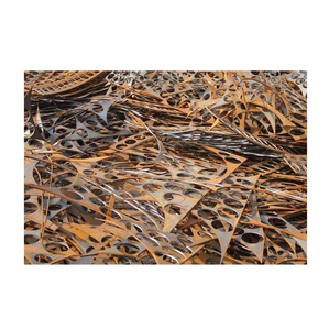 เหล็กและเหล็กกล้า รางรถไฟใช้แล้ว HMS 1/2 เศษเหล็ก/เศษโลหะ - Product Image 6