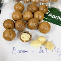 Voedzame Macadamianoten Met Schaal Of Pitten Concurrerende Prijs Van Betrouwbare Vietnam-Leverancier 84 326055616