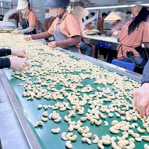Cheap Bulk Cashew <b>Kernels</b> SANTIGO Cashew <b>Nuts</b> Kaju In Bulk <b>Nuts</b> <b>Kernels</b> - Product Image 1