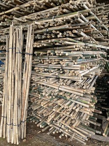 Poteaux en bambou du Vietnam, matière première naturelle pour la construction, la fabrication de meubles, la décoration extérieure, l'aménagement paysager et les utilisations structurelles. - Product Image 2