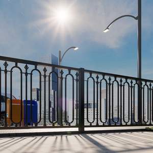 Puertas de Hierro Forjado de Alta Gama, Diseño Ecológico, 7 Pies de Altura, con Modelado 3D, Estructura Metálica Resistente, Puerta Elegante - Product Image 5