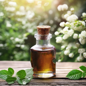 100% Pure Natural Cypress Essential Oil Carrier Liquid Pharma Grade para el cuidado de la piel Disponible en tamaños de paquete de 25kg y 100kg - Product Image 1