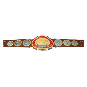 Ceinture de championnat poids lourd d'Europe, personnalisable, en cuir premium avec plaques or et argent - Product Image 1