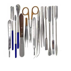 Kit d'équipements dentaires professionnels compacts pour les centres de formation dentaire, les établissements de santé, la pratique clinique et les soins bucco-dentaires - Product Image 2