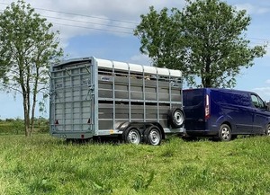 Semirremolque de Acero de 2 Ejes para Transporte de Ganado, Ovejas y Animales, con Capacidad de Carga Máxima de 40T, en Venta - Product Image 6