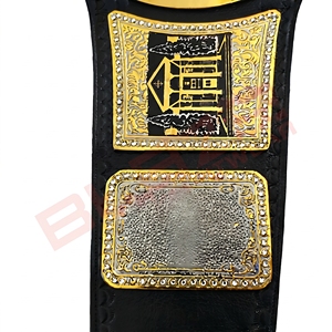 Cinturón de Campeonato Mundial de Peso Pesado Personalizado de AEW TNT, Cinturón de Boxeo de Lujo con Hebilla de Placa de Cuero Genuino y Latón de 51 Pulgadas - Product Image 3