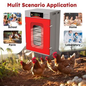 Incubatrice Commerciale a Armadio da 400 Uova con Controllo Automatico di Temperatura e Umidità, Grande Capacità, Schiuditrice Digitale per Pollame - Product Image 4