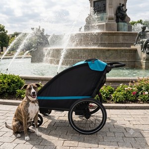Remolque para Bicicleta KS-6200 para Perros Grandes, de Aluminio, con Suspensión Independiente, Ligero y Fácil de Plegar, el Compañero Perfecto para Actividades al Aire Libre - Product Image 5