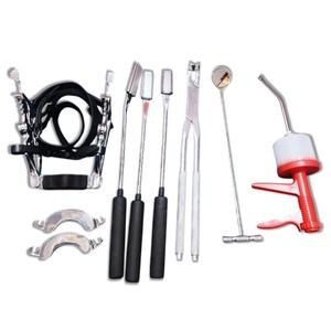 Juego Completo de Instrumentos Dentales Equinos, Kit de Odontología Veterinaria para Caballos, Herramientas Profesionales de Acero Inoxidable, Certificación CE, Duración de por Vida - Product Image 1