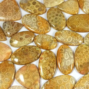 Natural Fossil Coral Loose Gemstone 20-35mm Yellow Mix Shapes for Jewelry Designing Wholesale Price - Product Image 1