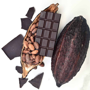 เมล็ดโกโก้แห้งคุณภาพสูง / เมล็ดโกโก้ - Product Image 4