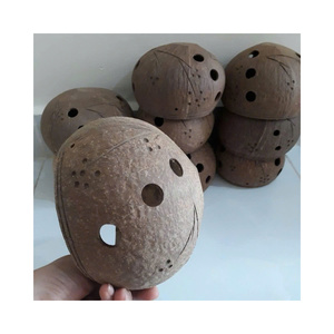 Maceta de Coco Hecha a Mano, Ideal para Cultivar Plantas y Agregar un Toque Rústico a tu Espacio, Maceta Tropical de Coco para Cultivos Orgánicos - Product Image 4