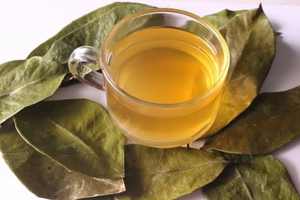 Hojas de Guanábana Secas Premium – Secadas al Sol, Ecológicas, Naturales // Mr.Tom - Product Image 4