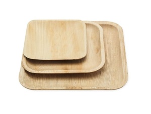 Assiettes élégantes pour dîner, 7 pouces, forme carrée, vaisselle compostable en feuilles de palmier, collection d'assiettes pour la présentation des aliments - Product Image 1