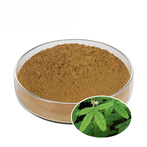 Fabricant OEM, poudre d'écorce de racine de mimosa 100% naturelle, approvisionnement en vrac, qualité cosmétique, grossiste en poudre de mimosa d'Inde - Product Image 2