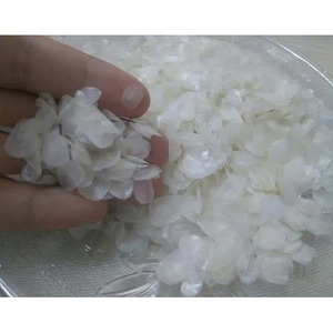 Escamas de Pescado Naturales Secas en Oferta, Escamas de Pescado Blanco Secas, Escamas de Pescado Tilapia - Product Image 1