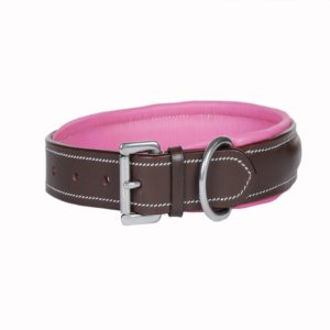 Collier pour chien fantaisie brodé avec rembourrage coloré, en cuir souple et rembourré, réglable, durable et confortable, fournisseur OEM en gros - Product Image 5