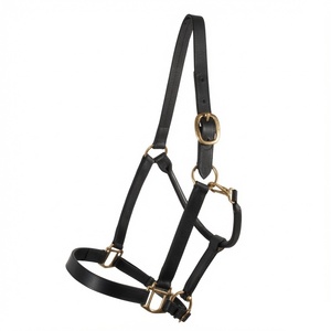 สายจูงม้าแบบสั่งทำขนาดพิเศษสำหรับขายส่ง พร้อมโลโก้พิมพ์บนหนังและอุปกรณ์โลหะทองเหลืองและสแตนเลส - Product Image 4