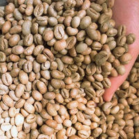 Granos de Café Verde Crudo Sin Tostar, Origen Directo de Vietnam, Granja de Alta Calidad, Suministro a Granel, IIGLOBAL FARM Modelo GB26 60kg S16 24 Meses