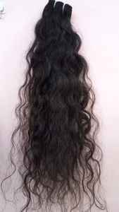 Single Donor Hair Weaving 100% Virgin Hair - 100% Raw Indian hair bundles no chemical no <b>tangle</b> - Product Image 6