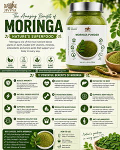Cápsulas de Moringa JIVVYA 500 Mg, 120 Cápsulas Vegetales, Fórmula de Hoja Entera, Sin Aditivos, Sin Gluten, Sin Maíz - Product Image 4