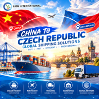 Tschechische Republik Multimodaler Versand aus China DDP Luft-See-Schienen-LKW EU-Lieferung Markenware Agent 7x24 Online