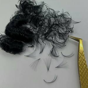 Extensions de cils pré-faits professionnels, volume 10D-20D, courbure CC/DD/M/L, épaisseur 0,03-0,10 mm, noir mat, longueur naturelle - Product Image 6