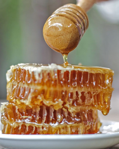 รังผึ้งธรรมชาติพรีเมียมจากเวียดนาม – รังผึ้งดิบแท้ 100% รสชาติเข้มข้น – คุณภาพสูงสำหรับการส่งออก - Product Image 6