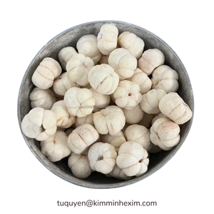 Mangoustan entier congelé IQF, fruits blancs pour la transformation alimentaire - Product Image 3
