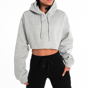 High Quality Custom Women's Embroidered Oversized Fleece Crop <b>Top</b> Hoodie Hip Hop Style Streetwear Winter - Product Image 1