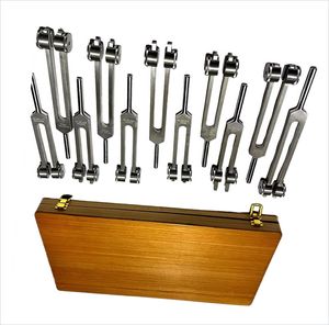 ชุดส้อมเสียงโซลเฟจจิโอรุ่นใหม่ 9 ชิ้น แบบไม่มีน้ำหนัก รุ่นประหยัด ทำจากสแตนเลส ได้รับการรับรองมาตรฐาน CE - Product Image 3