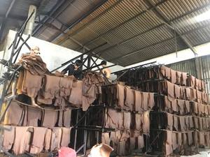 Lámina de Caucho Marca NGOC CHAU, Fábrica de Vietnam, Mejor Precio, RSS3, 100% Látex Natural - Product Image 3