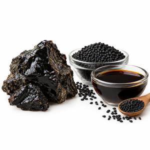 Gummies de Shilajit et Huile de Nigelle à Marque Blanche OEM, 60 Unités pour Adultes, Soutien Énergétique et Cérébral, Fournisseur en Gros - Product Image 2