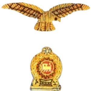 Customs Handmade Embroidered High Quality Patch Iron on Patches for Clothing Golden Badges - Product Image 1