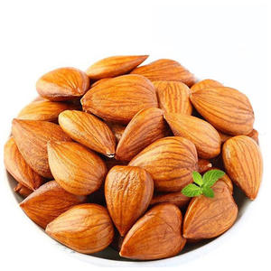 Amandes biologiques brutes directement de la ferme, collation saine, emballage en gros pour les acheteurs internationaux - Product Image 4