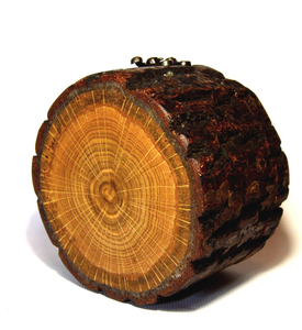 Natural Tree Bark <b>Wooden</b> Jewelry Box Rustic Round Log Slice Storage Case Decorative Handcrafted Trinket Organizer Chest - Product Image 2