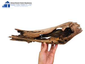 Decoración de Acuario de Madera Flotante Natural Thanh Tung Thinh, Forma Irregular, Adorno Duradero para Pecera de Vietnam - Product Image 1