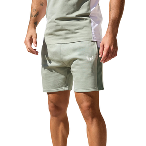 <b>Mens</b> Sage <b>Green</b> Panel Jersey <b>Shorts</b> Casual Athletic Gymwear Running Training Summer Sports <b>Shorts</b> Activewear - Product Image 1