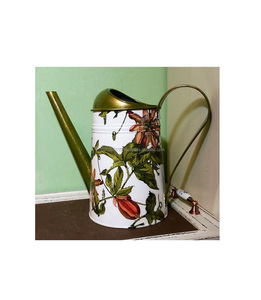 Arrosoir galvanisé décoratif imprimé en émail avec poignée confortable et bec verseur conçu pour des besoins d'arrosage précis des plantes - Product Image 1