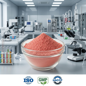 Poudre de pastèque de qualité supérieure, fournisseur, fabricant et exportateur en gros d'Inde, prix de gros. - Product Image 4