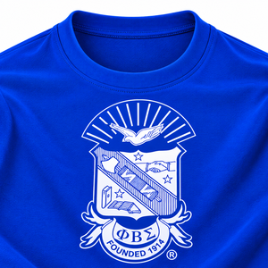 Camiseta Azul Rey para Hombre de Phi Beta Sigma, con Escudo Bordado, Manga Corta, Cuello Redondo, Ropa Casual de Fraternidad Universitaria, Estilo Griego - Product Image 5