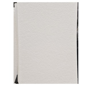 Pâte de bois blanchie de qualité supérieure à vendre pour la fabrication de papier de soie, de serviettes en papier et de rouleaux de papier toilette de haute qualité - Product Image 6