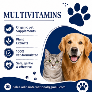 Compléments multivitaminés à mâcher pour chiens et chats de toutes races, 10-en-1, probiotiques 4B, protection de la santé, soutien immunitaire, cutané et articulaire, marque privée - Product Image 3