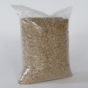 High Purity Rye <b>Grain</b> Bulk Organic Certified Rye Seeds for Milling Brewing Animal Feed Premium Quality Export Standard Supply - Product Image 6