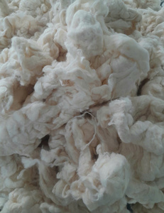 Algodón Crudo de la Marca Nithya, Fibra de Algodón Desenredada de 18-20 mm, Algodón Blanco a Granel para Tejer, Hilar y Rellenar - Product Image 3