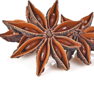 โป๊ยกั๊กสมุนไพรสดแบบแห้งมาตรฐานจากเวียดนาม - Product Image 1